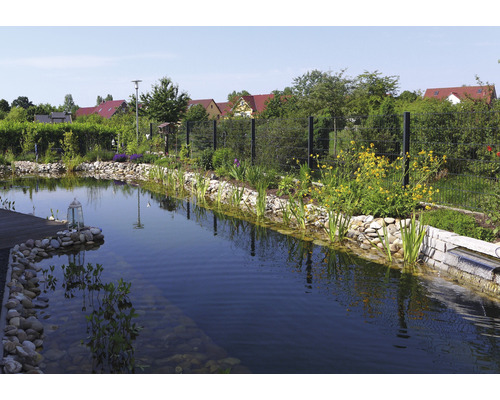 Gartenteich mit Steinen, Pflanzen und Zaun im Hintergrund.