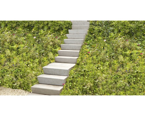 Betonstufen führen durch einen Garten.