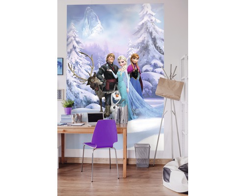 Pièce avec papier peint photo avec le motif La Reine des neiges, bureau et chaise