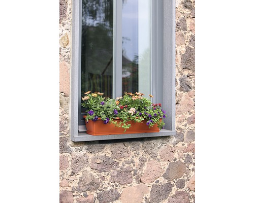 Blumenkasten mit blühenden Blumen am Fenster