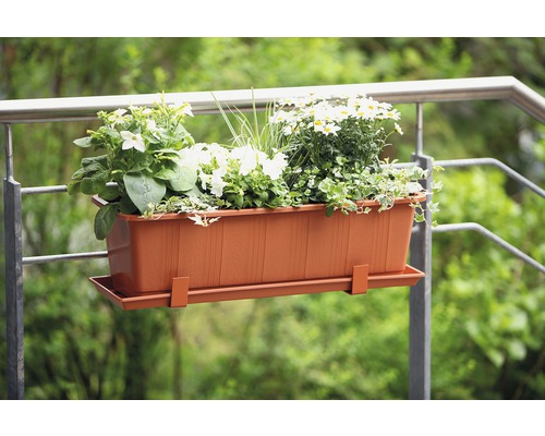 Blumenkasten aus Kunststoff mit Halterung und verschiedenen Pflanzen am Balkongeländer