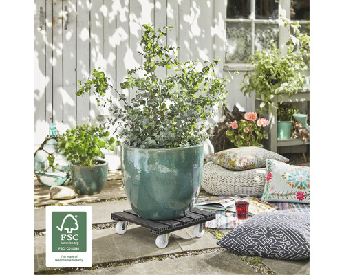 Blumenroller mit Pflanze im Aussenbereich mit FSC-Siegel