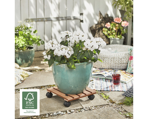 Chariot à plantes en bois avec roulettes et pot de fleurs à l''extérieur