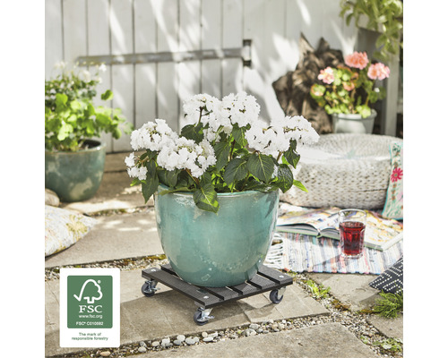 Pot de fleurs avec plante sur roulettes d''extérieur avec label FSC