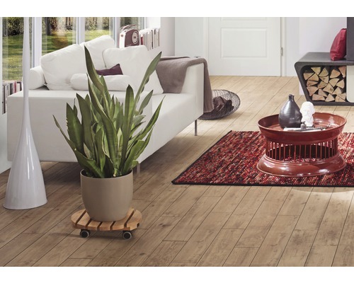 Salon avec parquet, canapé, plante et décoration