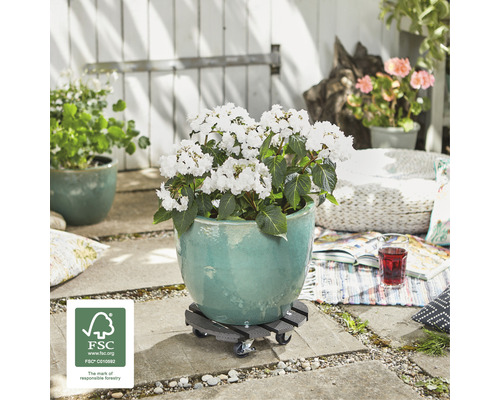 Pot de fleurs avec fleurs blanches sur roulettes pour plantes à l''extérieur avec label FSC