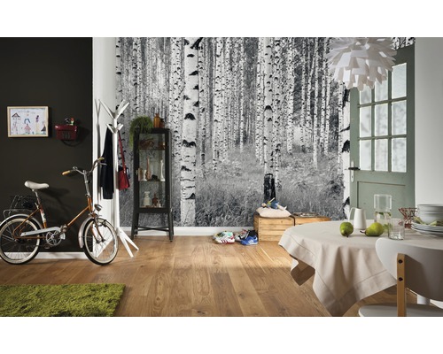 Pièce à vivre avec papier peint forêt de bouleaux, vélo et table à manger.