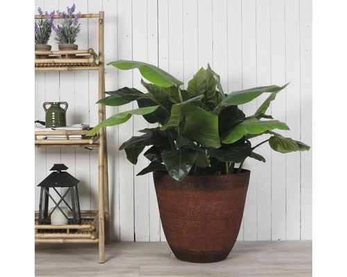 Szene mit einer Zimmerpflanze in einem Pflanzgefäß und einem Bambusregal