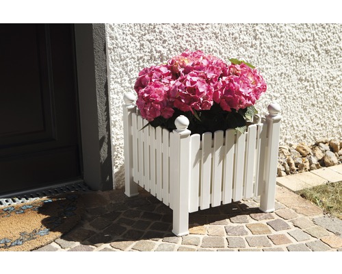 Jardinière en plastique avec hortensia rose