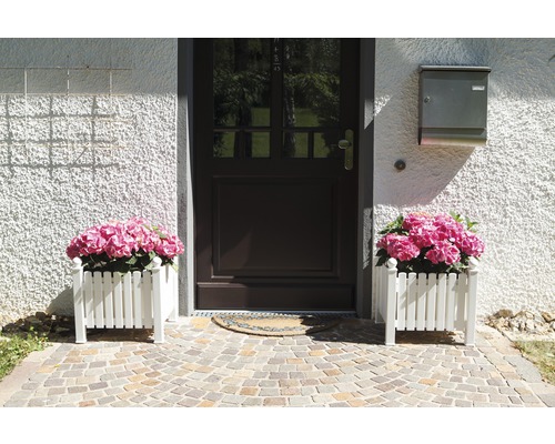 Zone d''entrée avec porte d''entrée, boîte aux lettres et deux pots de fleurs avec des hortensias roses