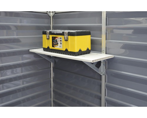 Boîte à outils sur étagère dans une remise de jardin