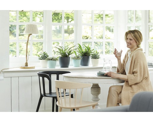 Scène lumineuse avec plantes d''intérieur en pots sur un rebord de fenêtre, une table avec des chaises et une femme
