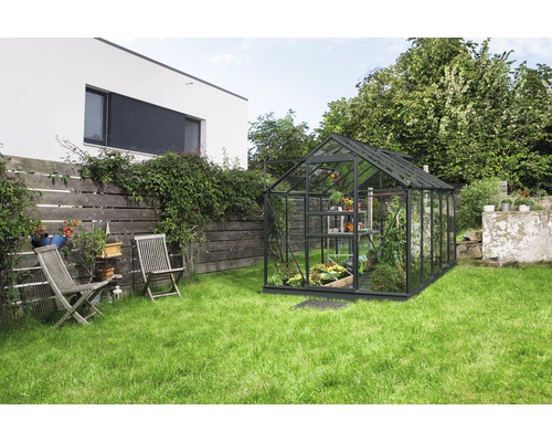 Gewächshaus Vitavia Venus 6200 Einscheibensicherheitsglas 3 mm 195x321 cm schwarz Gewächshaus Vitavia Venus 6200 Einscheibensicherheitsglas 3 mm 195x321 cm schwarz