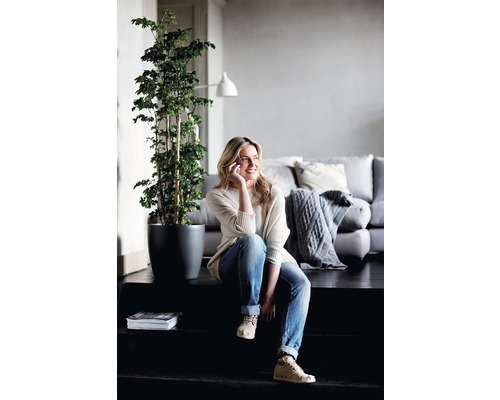Femme assise sur un escalier avec plante d''intérieur, téléphone, magazine et canapé en arrière-plan