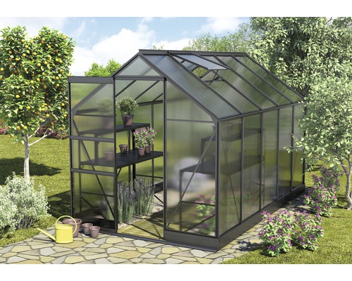 Gewächshaus Vitavia Apollo 6200 Hohlkammerplatten 6 mm mit Fundament 195x323 cm schwarz Gewächshaus Vitavia Apollo 6200 Hohlkammerplatten 6 mm mit Fundament 195x323 cm schwarz
