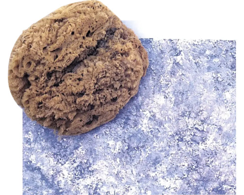 Éponge naturelle pour le nettoyage