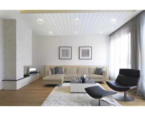 Heller Wohnraum mit Sofa, Sessel, Kamin und Teppich