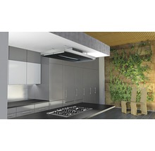 Cuisine moderne avec îlot de cuisson, hotte aspirante et jardin vertical