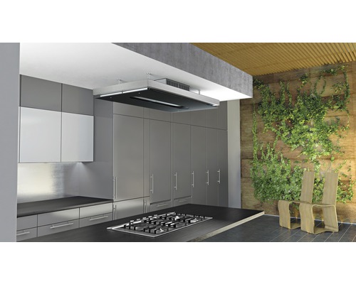 Cuisine moderne avec îlot de cuisson, hotte aspirante et jardin vertical