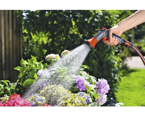 Arrosage de jardin avec une lance d''arrosage sur un tuyau d''arrosage