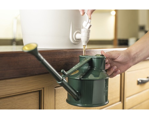 Une personne remplit un arrosoir vert d''eau provenant d''un robinet.