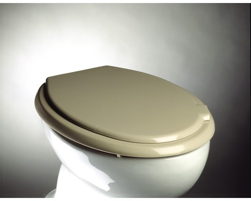 Couvercle de WC sur des toilettes