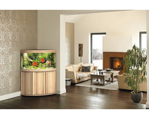 Aquarium d''angle aménagé dans le salon