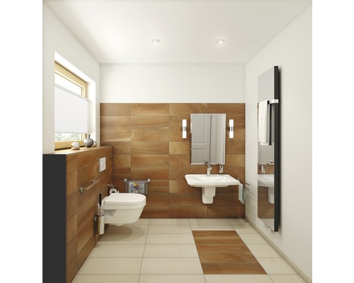 Salle de bains avec toilettes, lavabo, miroir, sèche-serviettes et carrelage