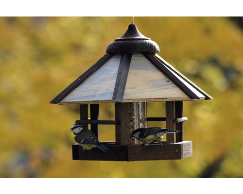 Vogelhaus mit zwei Vögeln