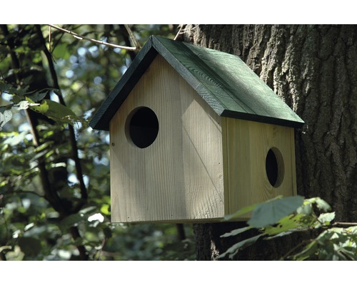 Holzvogelhaus mit zwei Öffnungen am Baum