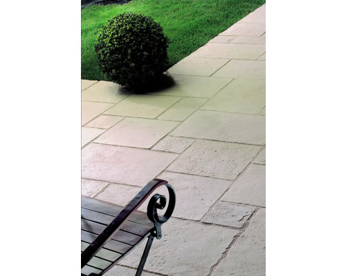 Chemin de jardin en dalles de pierre naturelle avec pelouse et un buisson sphérique