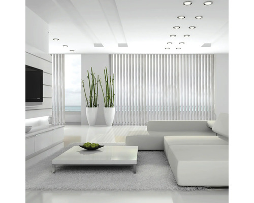 Salon moderne avec canapé, table basse, plantes d''intérieur et stores vénitiens