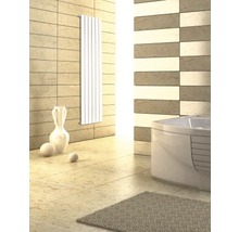 Sanotechnik Designheizkörper Eisenstadt 1800x459 mm weiss