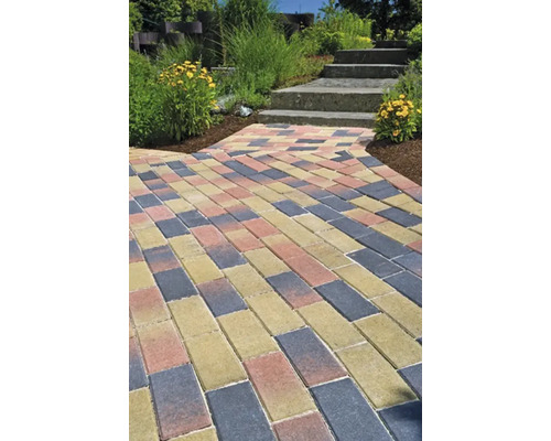 Chemin de jardin en pavés rectangulaires multicolores menant à des marches en pierre, entouré de plantes et de fleurs.