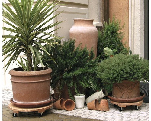 Pflanzkübel auf Rollen mit diversen Pflanzen und Töpfen im Aussenbereich.