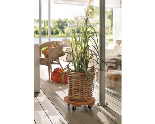 Dekorative Pflanze in einem Korb auf einem Pflanzenroller auf einer Terrasse.