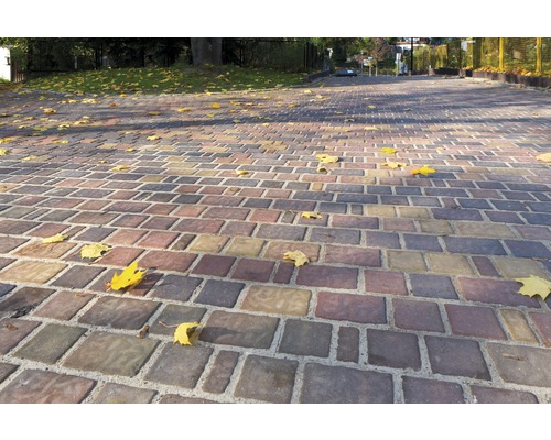 Pavés sur un chemin avec des feuilles d''automne