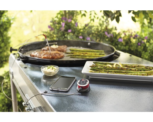 Grillszene mit Fleisch, Spargel, Thermometer, Smartphone und Dip