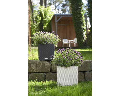 Deux jardinières carrées en rotin avec des plantes sur un mur de pierre dans le jardin.