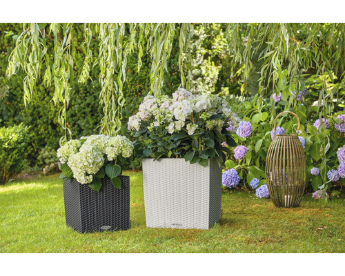 Deux bacs à plantes avec des hortensias et une lampe décorative dans le jardin.