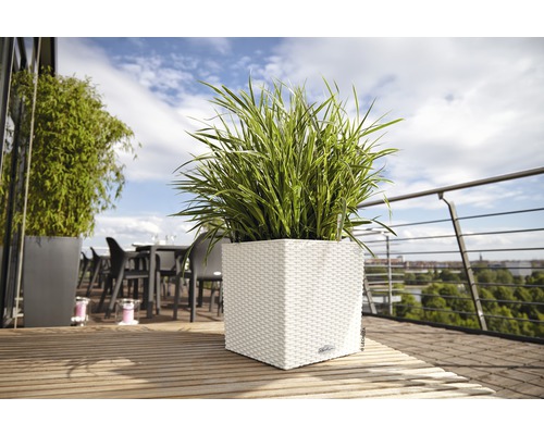 Pot de fleurs carré en plastique avec plante verte sur une terrasse