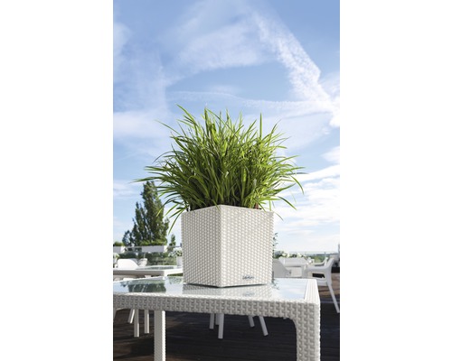 Pot de fleurs carré avec des plantes vertes sur une table à l''extérieur