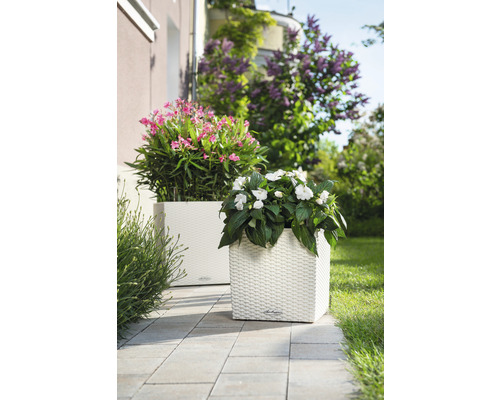 Deux jardinières carrées avec des fleurs sur une terrasse.