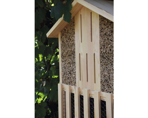 Hôtel à insectes en bois avec tiges de bambou et grillage