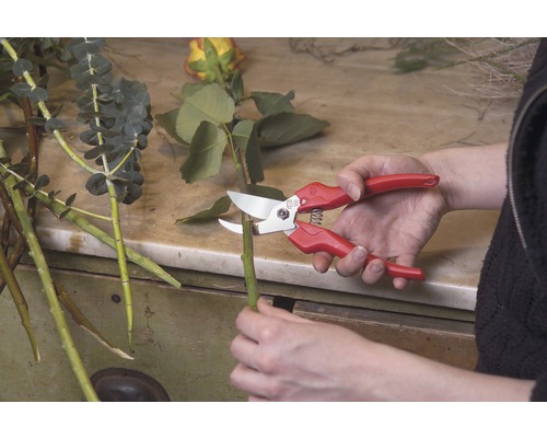 Un jardinier coupe une tige avec un sécateur
