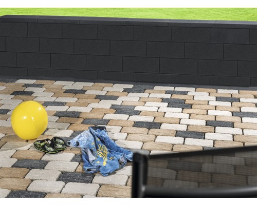 Jardin avec pavés et mur