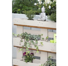 Jardinière surélevée en palettes jardinière verticale herbes aromatiques 120x40x84 cm blanc crème