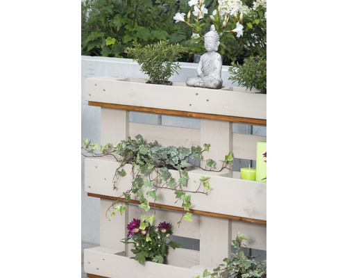 Jardinière décorative en bois avec diverses plantes et une figurine de Bouddha pour le jardin