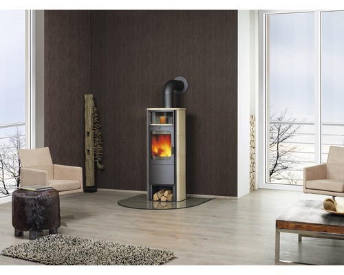 Séjour avec cheminée et mobilier de style moderne.