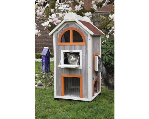 Chat dans une maison pour chats à deux étages dans le jardin.